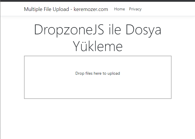 DropzoneJs File Upload